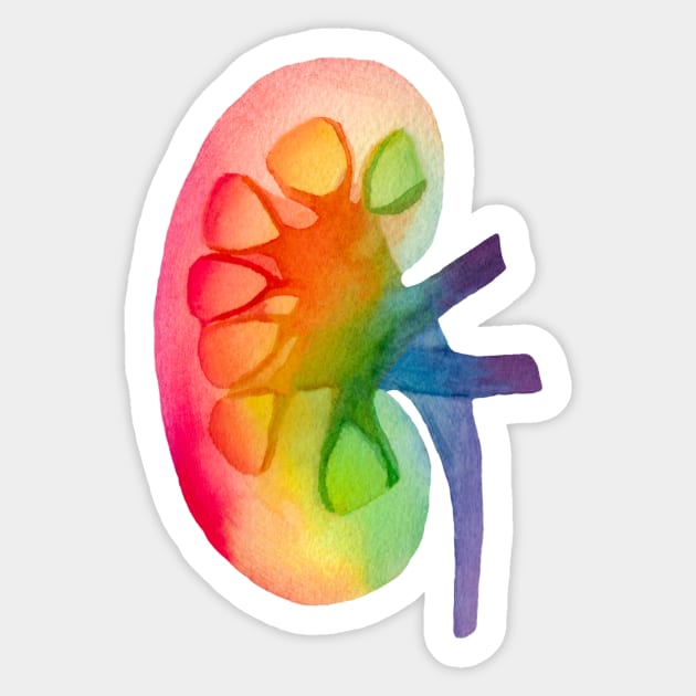 Watercolor Rainbow Kidney (dark) Sticker by ayemfid